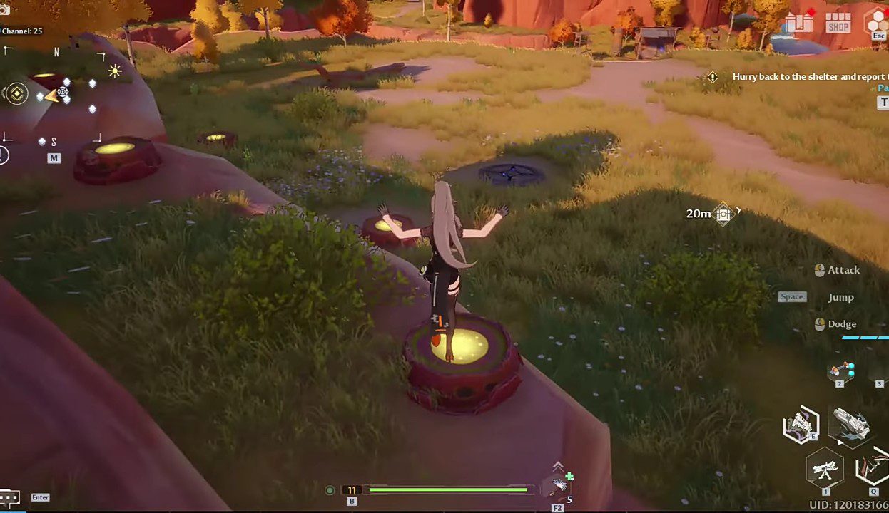 Yellow Pads In Ring Of Echoes