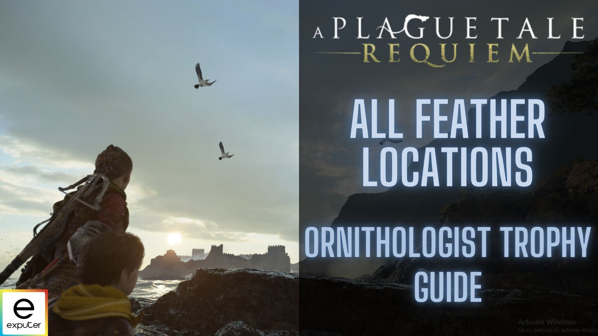 A Plague Tale: Requiem Collectible Guide (flowers, feathers