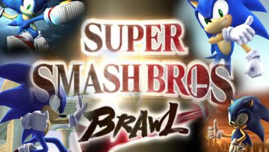 Sonic The Hedgehog on Smash Bros Brawl