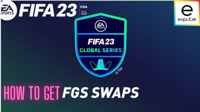 FGS Swaps Token