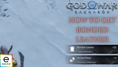 Bonded Leather in God of War Ragnarok