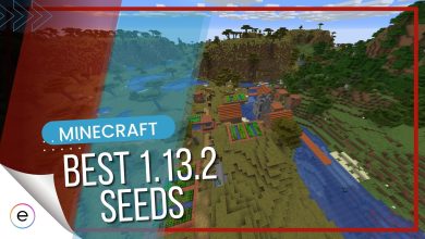 Best seeds of minecraft 1.13.2