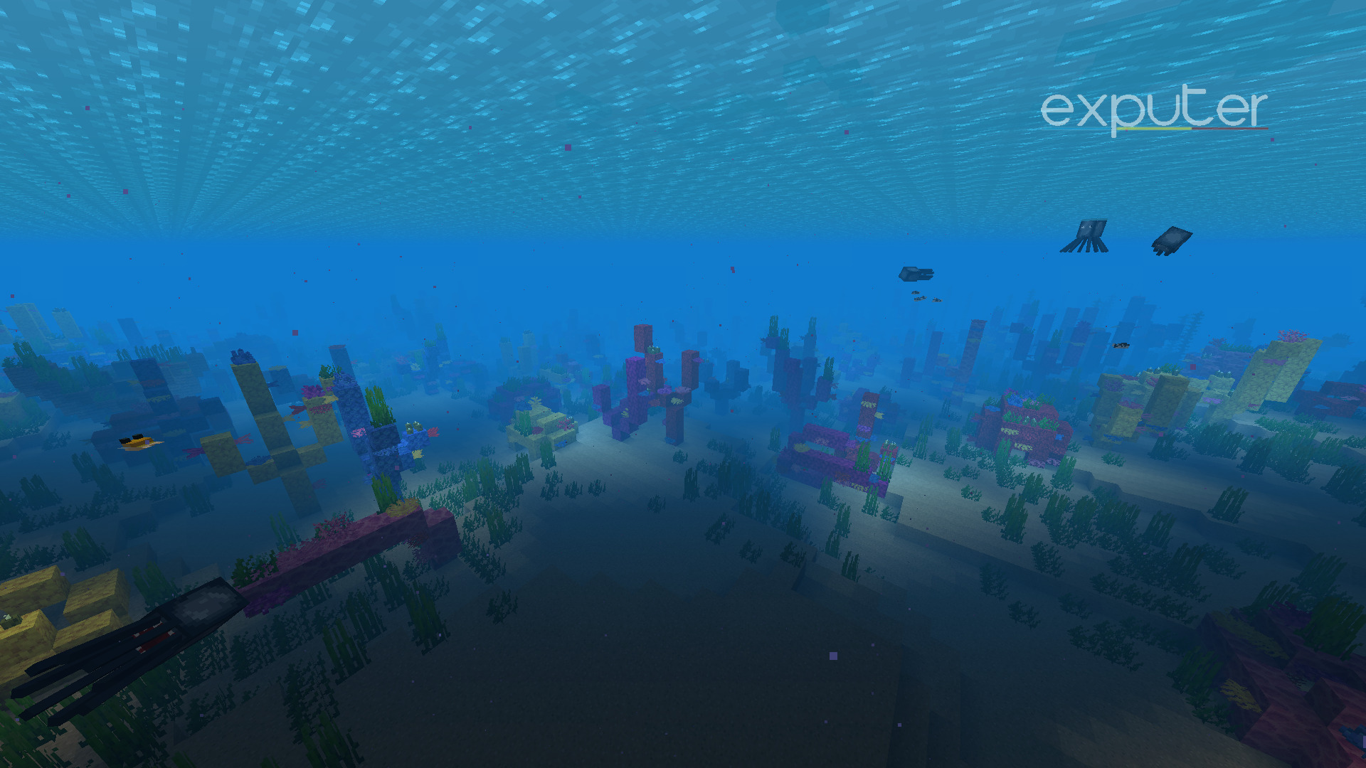 The Coral reefs biome.