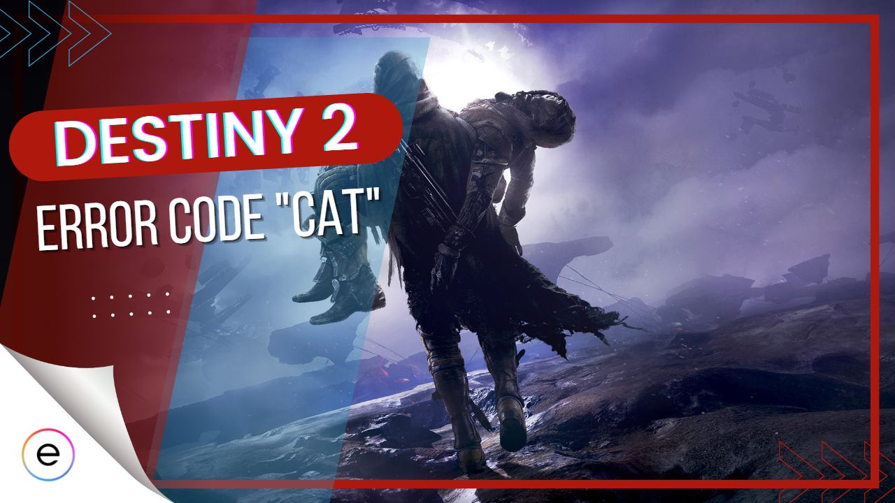 FIXED Destiny 2 Error Code Cat [Quick Guide]