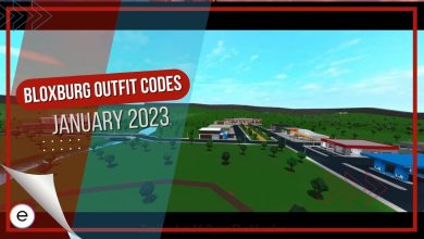 Active Codes For Bloxburg Outfits