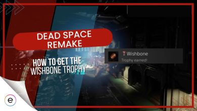 Wishbone Dead Space Remake