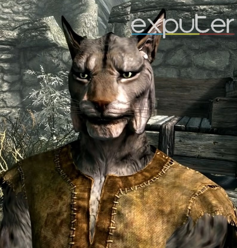 Khajiit 