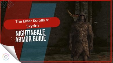 The Elder Scrolls V: Skyrim The Nightingale Armor
