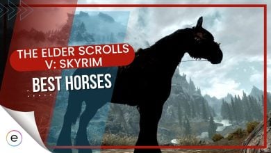 skyrim best horse