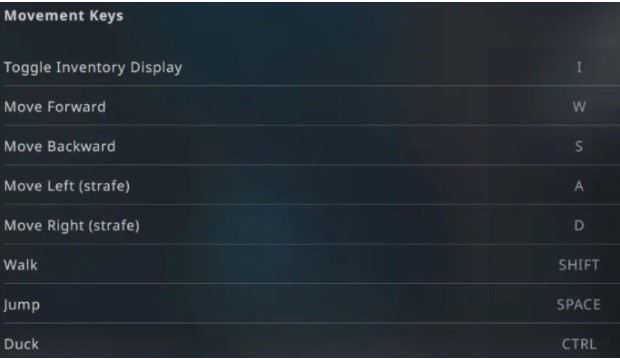 CS 2 movement keys