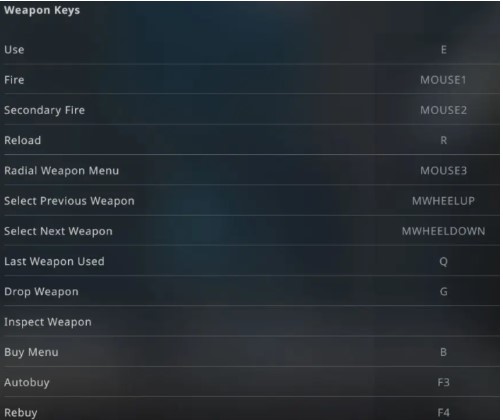 CS 2 Weapon keys