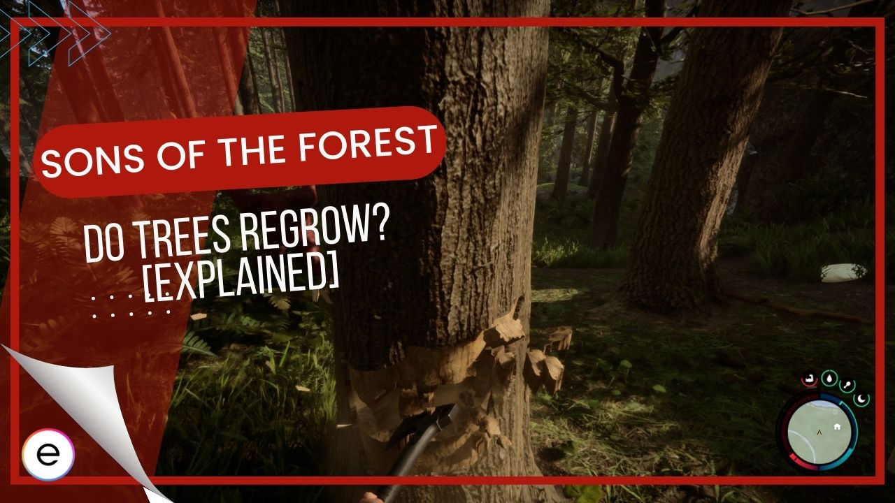 Sons of the Forest Tree Regrowth Cheat: What Console Command Makes Trees  Grow Back? - GameRevolution