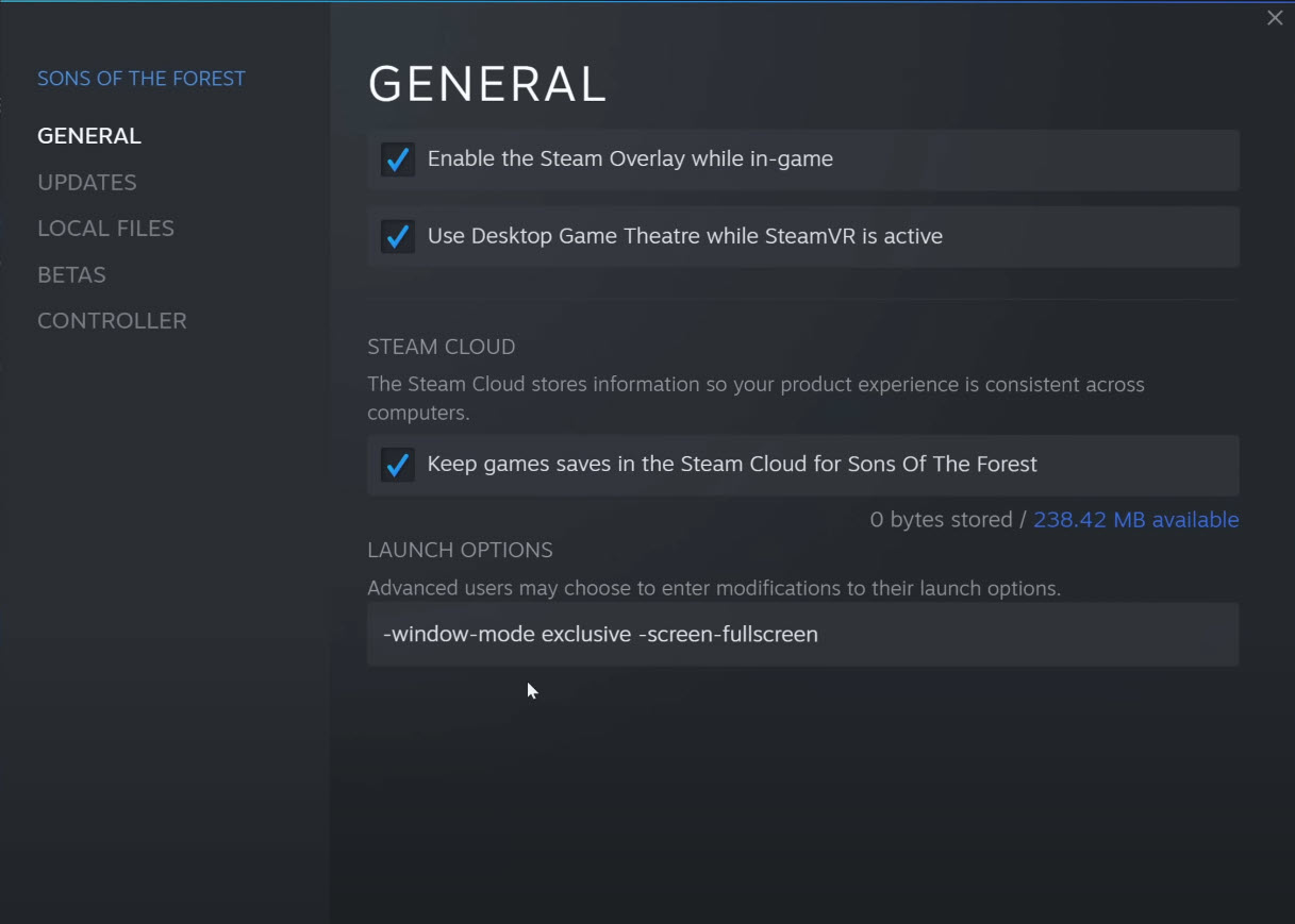 Sons of Forest Fullscreen Launch Options Steam