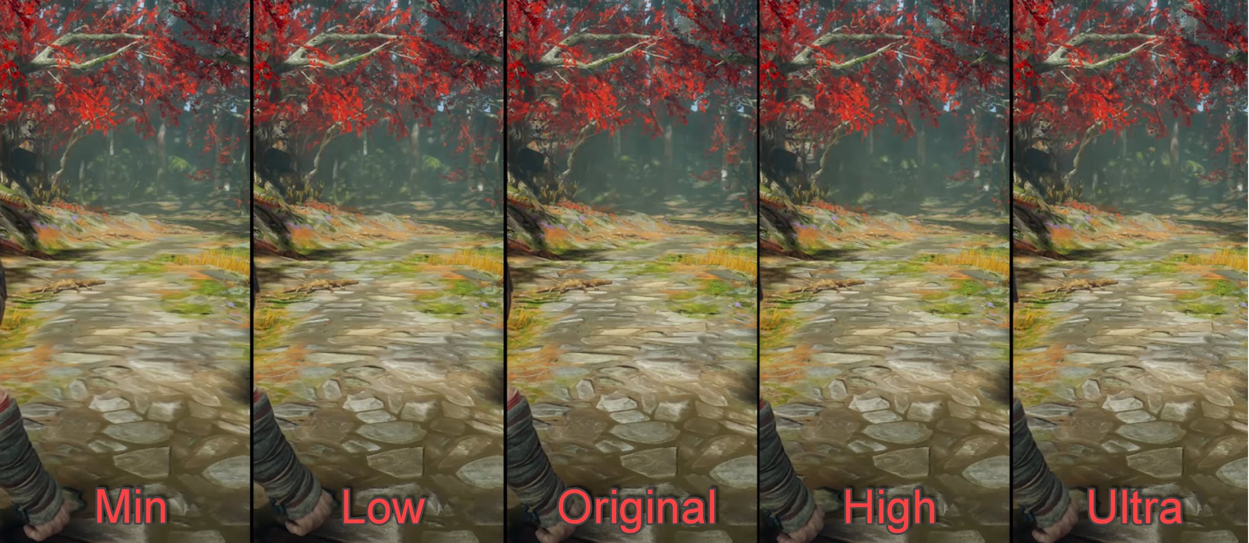 GOW Anisotropic Filtering