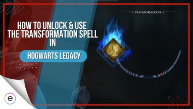 How To Unlock Transformation Spell In Hogwarts Legacy