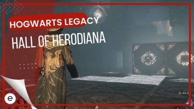 Hogwarts Legacy Hall of Herdiana Puzzle