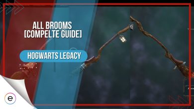 All Brooms Hogwarts Legacy