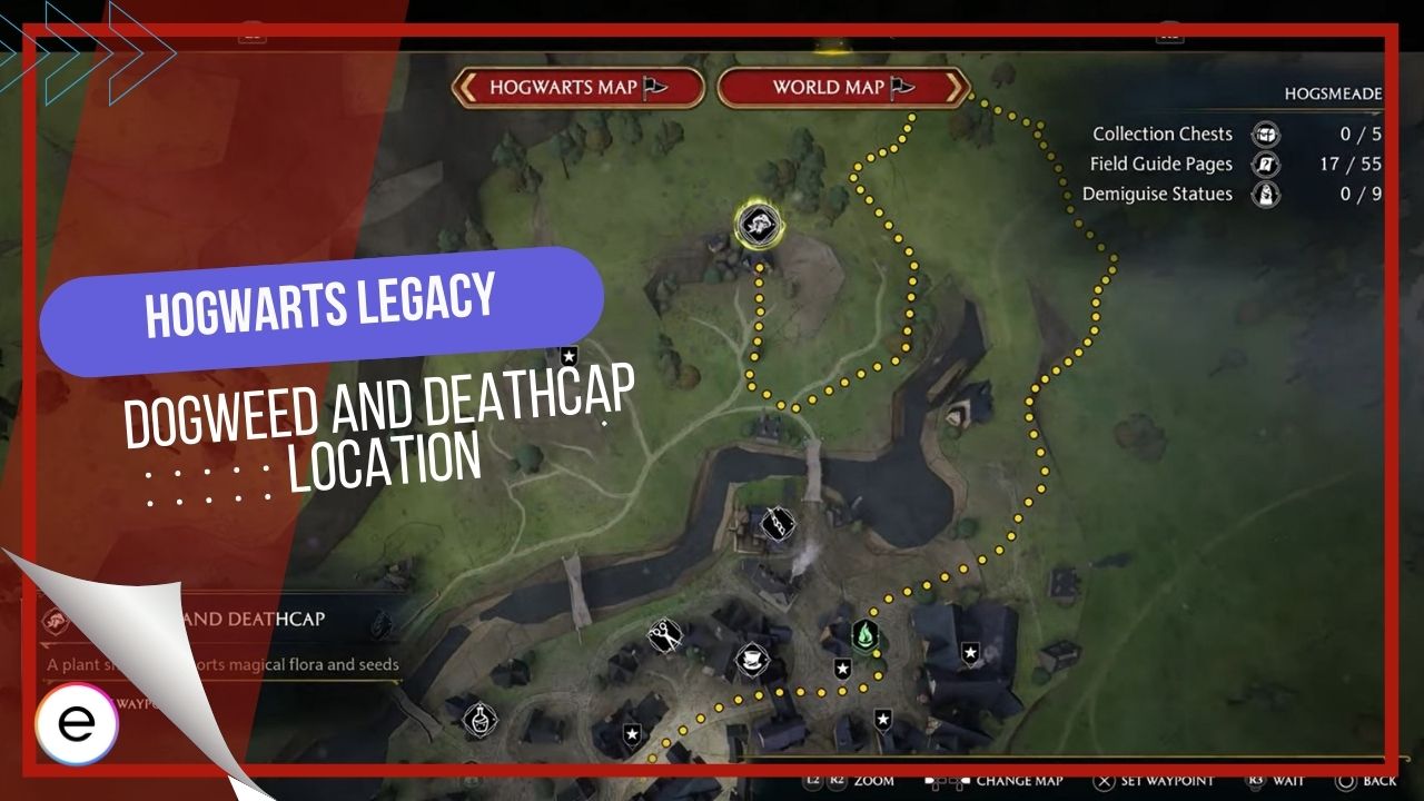 Hogwarts Legacy Dogweed And Deathcap Location EXputer Com   Hogwarts Legacy Dogweed And Deathcap Location 