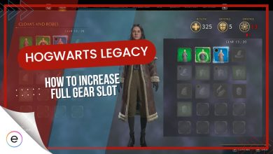 Gear Slots Full Hogwarts Legacy