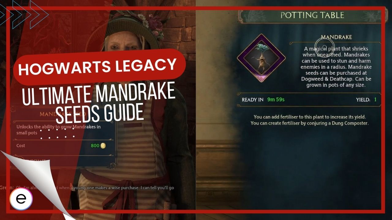 How to get a Mandrake in Hogwarts Legacy