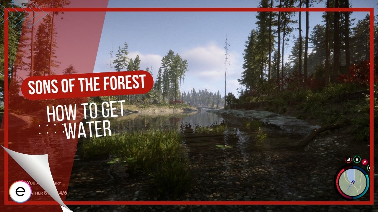 Sons of the Forest: How to Find and Collect Water