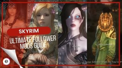 The Ultimate Skyrim Follower Mods