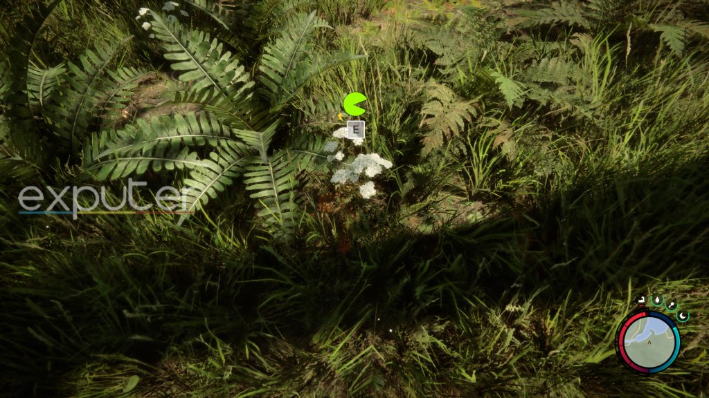 Yarrow plants Sons of the Forest