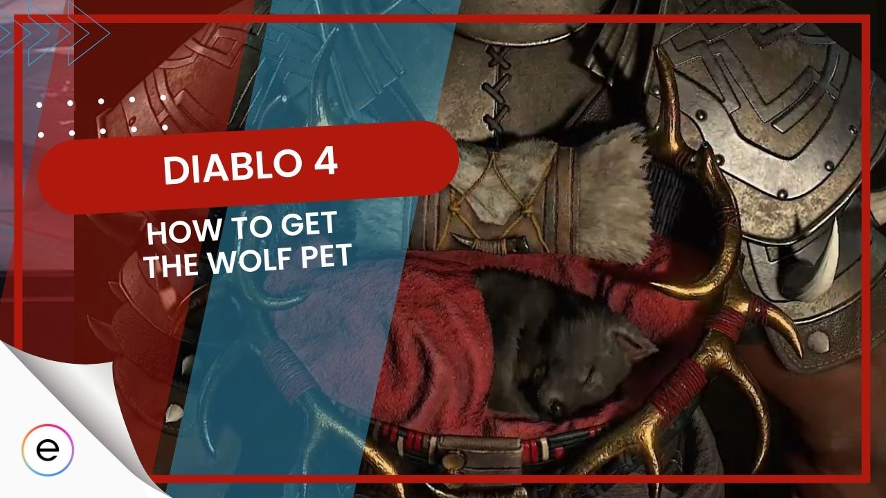 diablo-4-how-to-get-wolf-pet-exputer