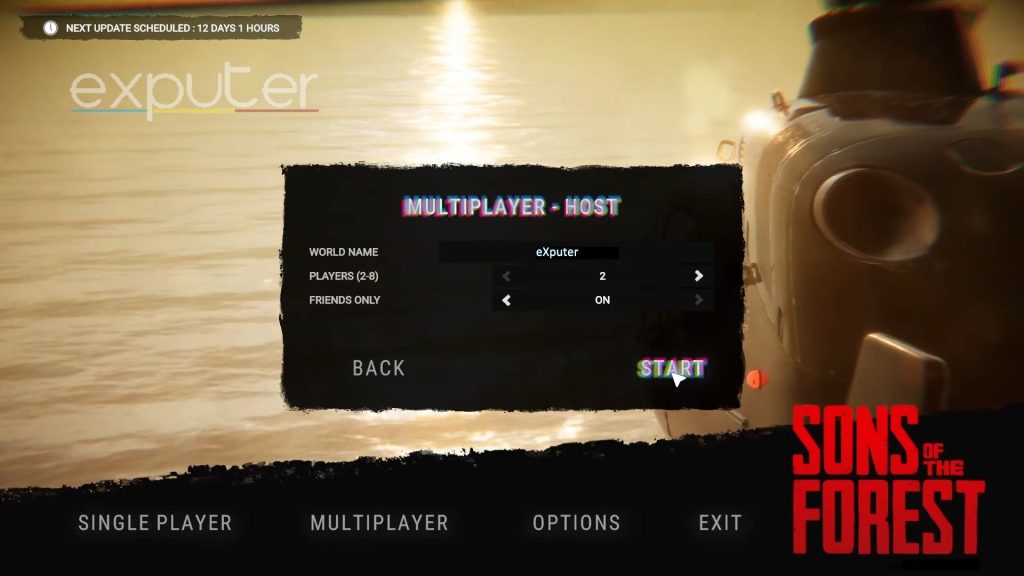 Sons Of The Forest Multiplayer Hosting