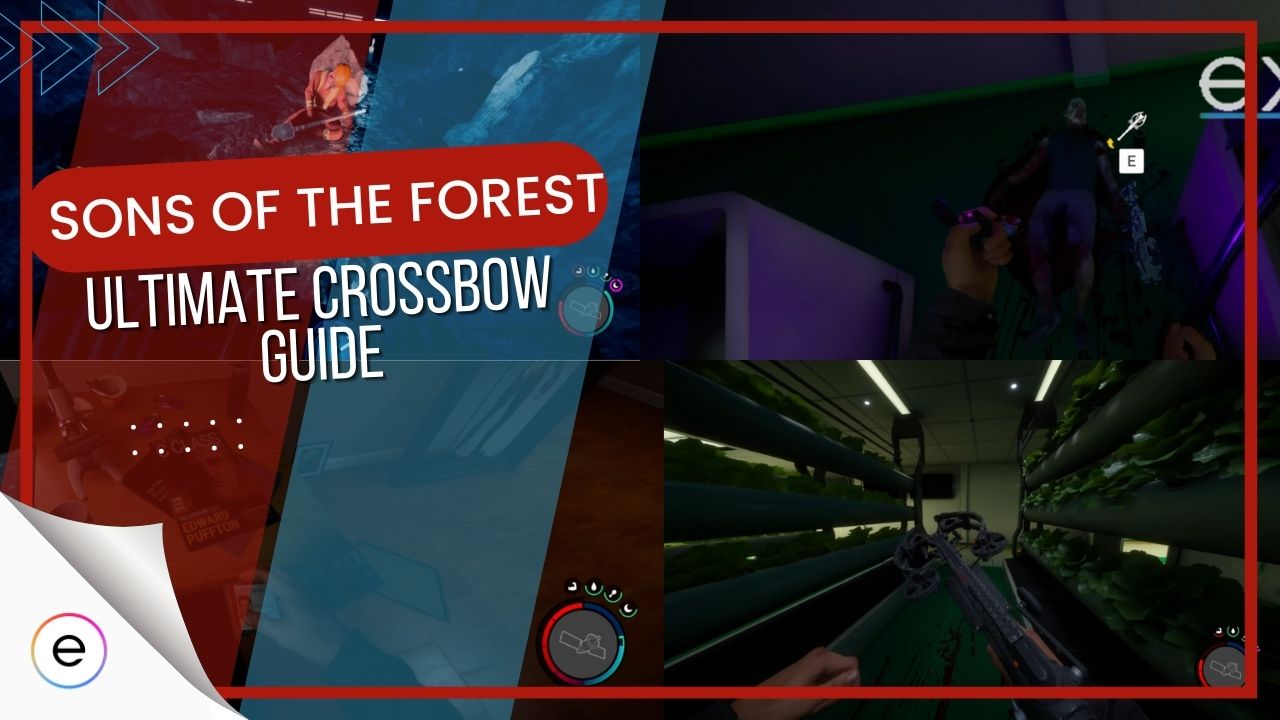 sons of the forest how to find crossbow