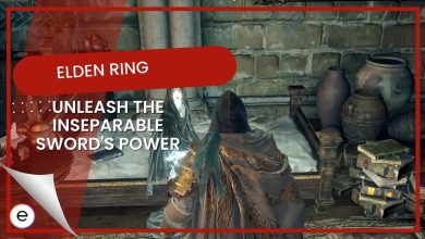 Elden Ring Inseparable Sword