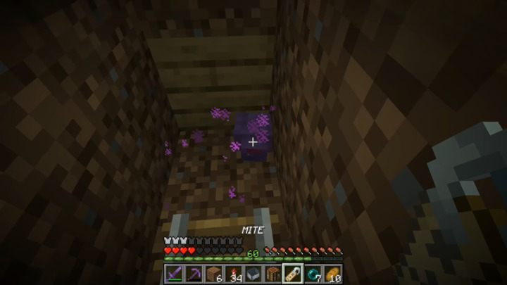 Endermite Used in Enderman XP Farm