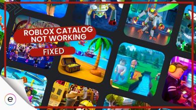 Fix: Roblox Catalog Not Working Error