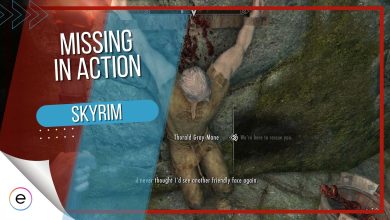 Missing in action in skyrim.