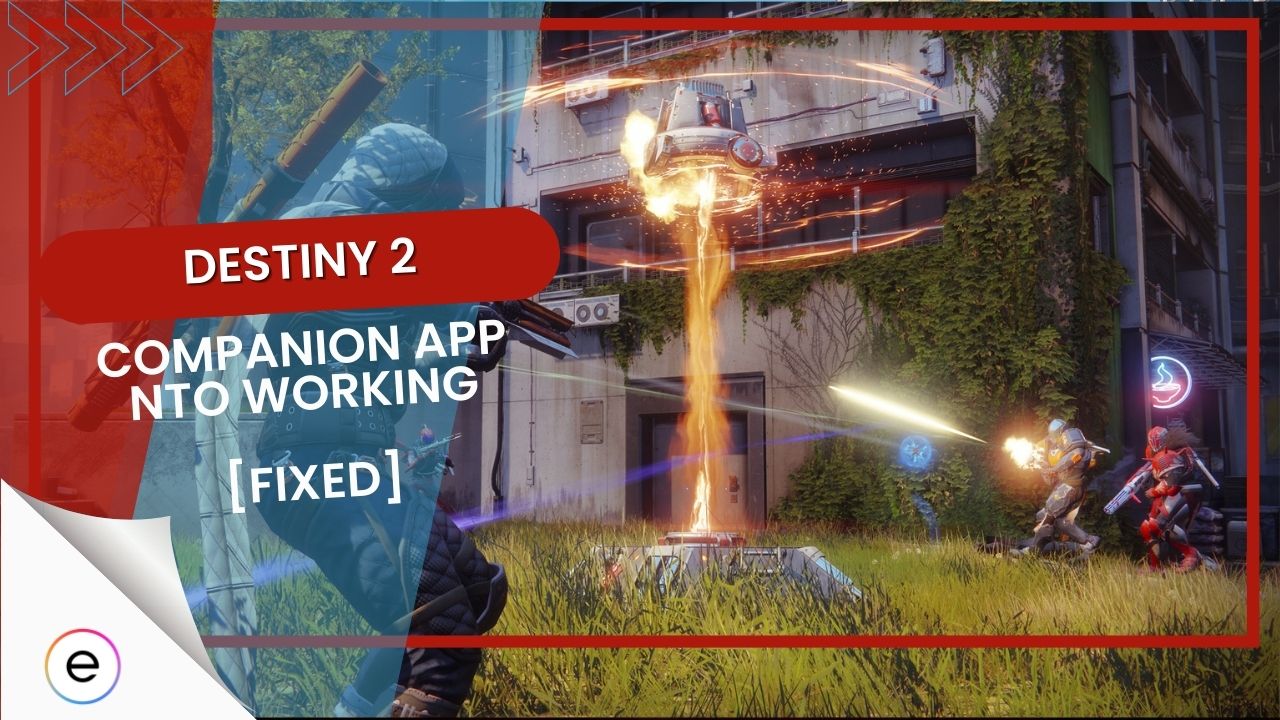 destiny 2 little light app not working