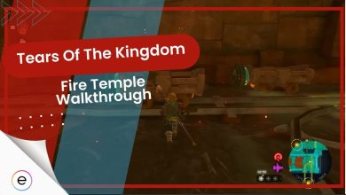 Fire Temple Tears of The Kingdom