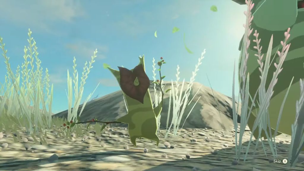 Korok Seeds Tear Of The Kingdom