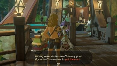 Naked Link NPC Interactions