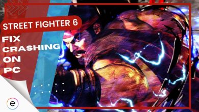 Fix Street Fighter Crashing On PC