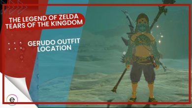 Tears of the Kingdom gerudo outfit