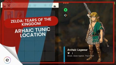 Zelda: Tears of the Kingdom Archaic Tunic Location