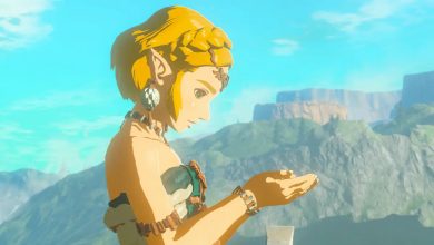 Zelda in Tears of the Kingdom