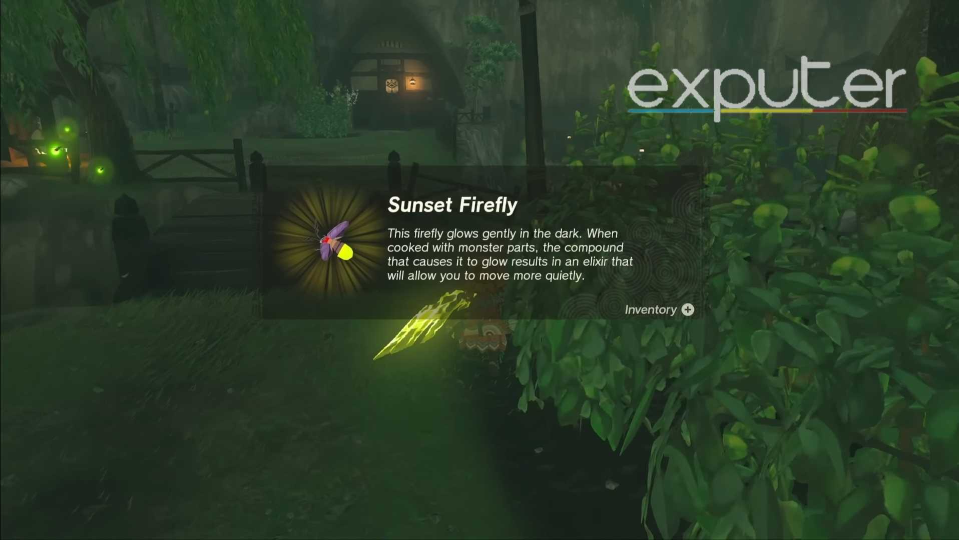 fireflies zelda totk