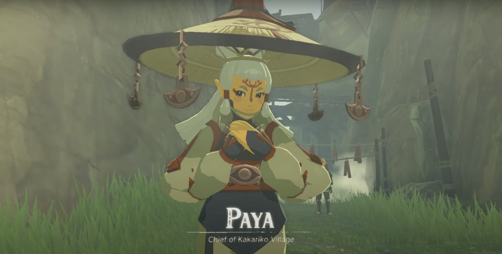 what paya looks like in tears of the kingdom