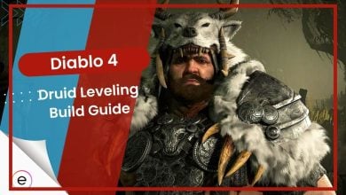 D4-Druid-Leveling-Build-Guide