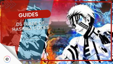 DS Blade of Hashira Codes