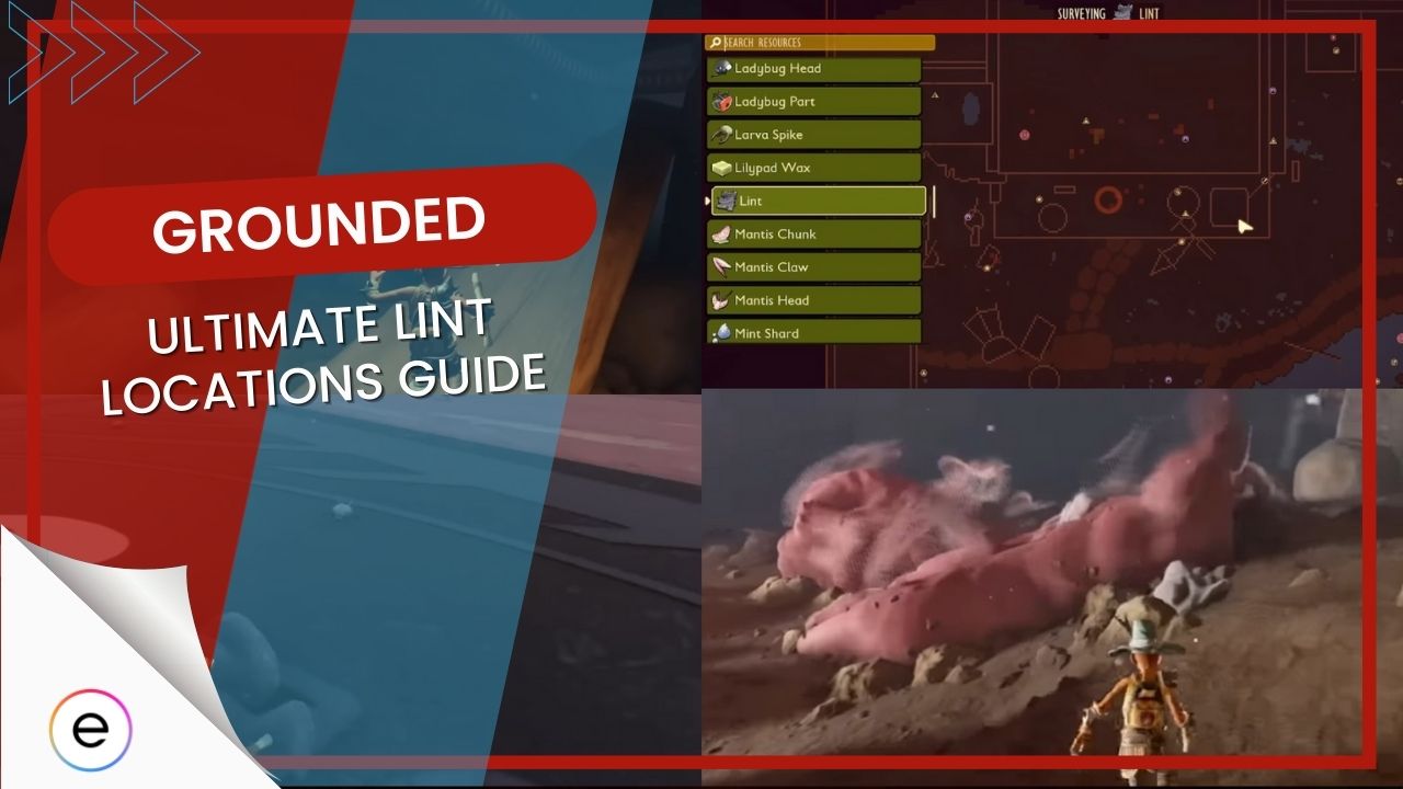 Grounded Lint Uses & Locations