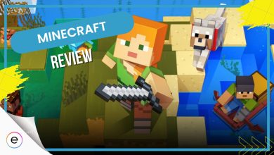 Minecraft Review