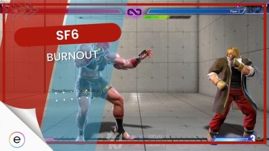 Guide SF6 Burnout