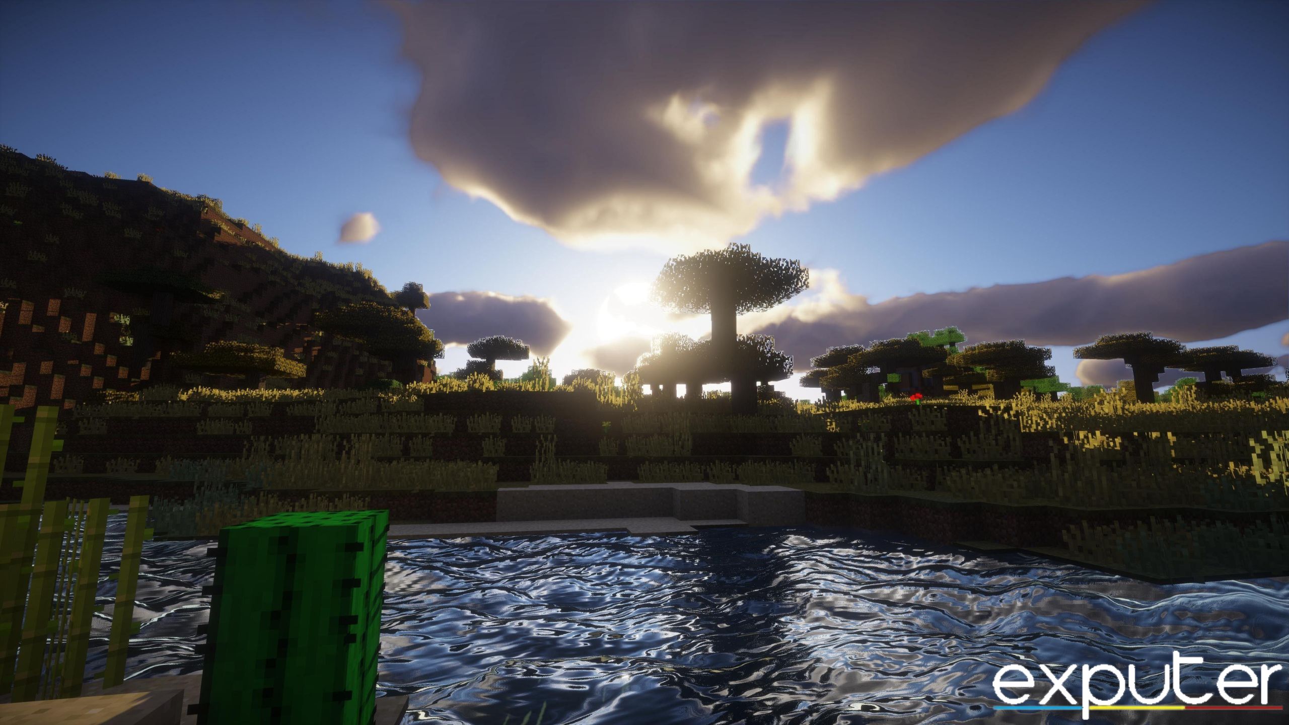 Shaders Image